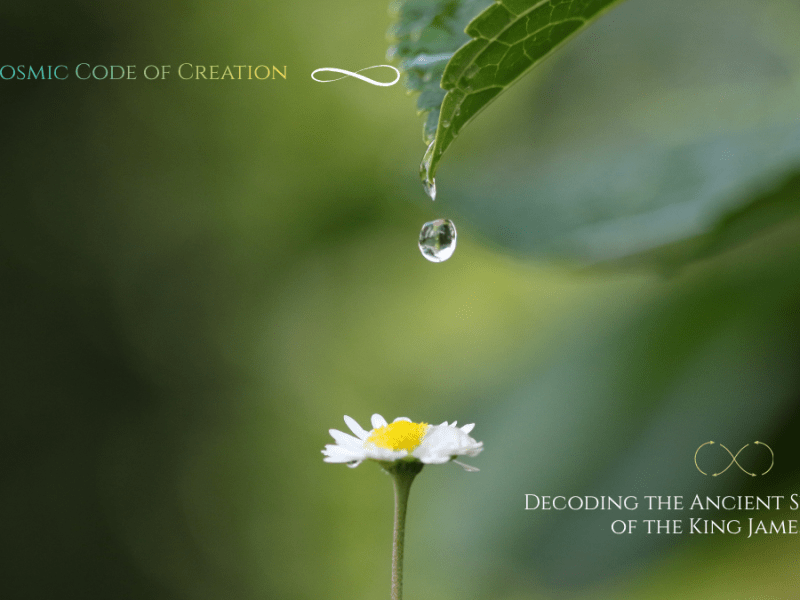 Teaching 2: The Properties of&nbsp;Life